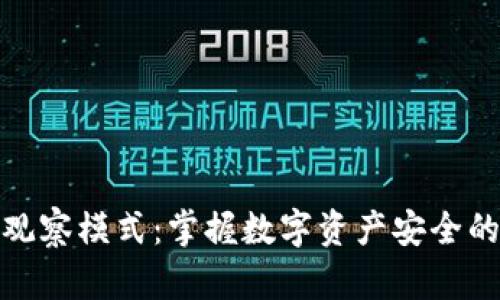 TP钱包观察模式：掌握数字资产安全的新趋势