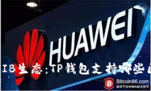 探索SHIB生态：TP钱包支持哪些区块链？