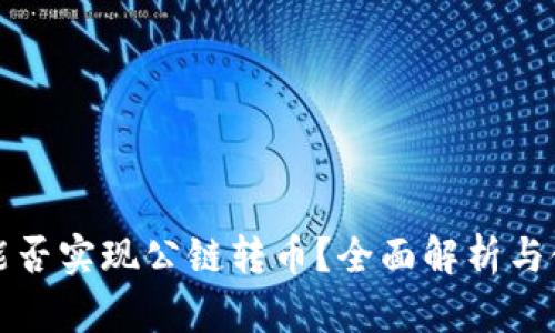 TP钱包能否实现公链转币？全面解析与使用指南