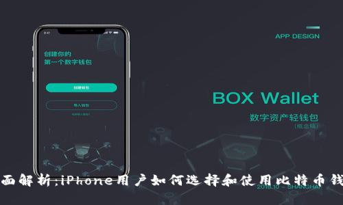 全面解析：iPhone用户如何选择和使用比特币钱包
