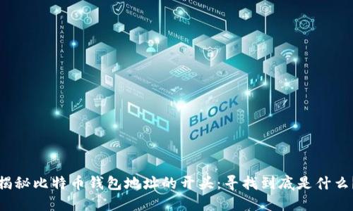 揭秘比特币钱包地址的开头：寻找到底是什么？