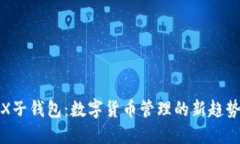 探索TRX子钱包：数字货币