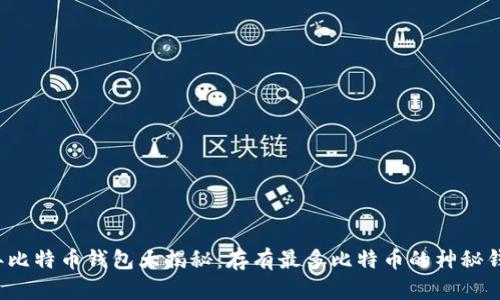 2023年比特币钱包大揭秘：存有最多比特币的神秘钱包分析