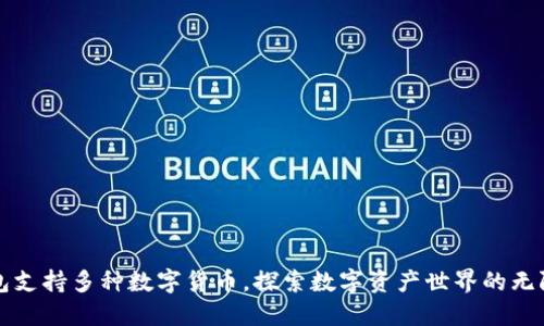 TP钱包支持多种数字货币，探索数字资产世界的无限可能