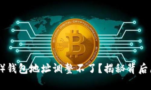泰达币（Tether）钱包地址调整不了？揭秘背后原因与解决方案