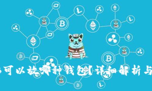 SHIB可以放哪种钱包？详细解析与推荐