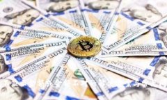 TP钱包不显示金额或金额不