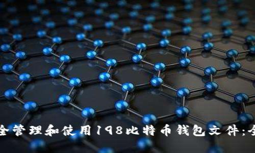 如何安全管理和使用198比特币钱包文件：全面指南