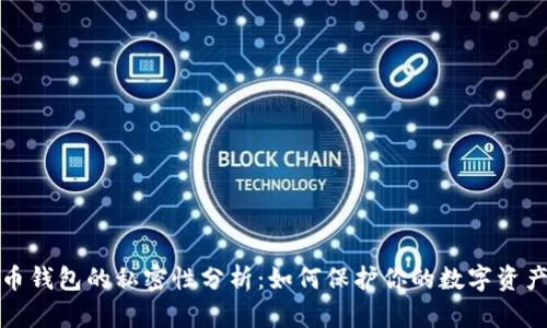 比特币钱包的私密性分析：如何保护你的数字资产安全