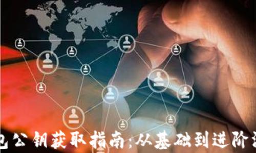 
  TP钱包公钥获取指南：从基础到进阶深度解析