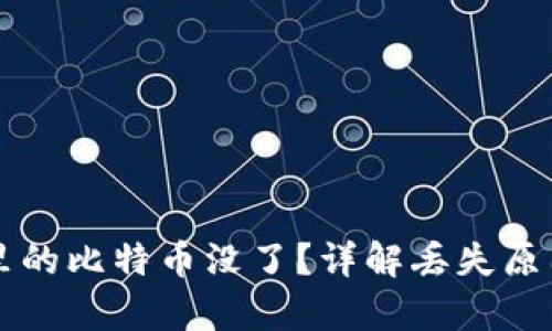 比特币钱包里的比特币没了？详解丢失原因与恢复方法