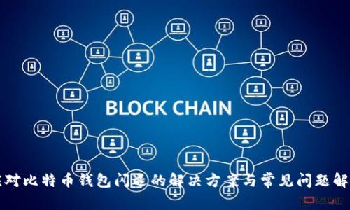 应对比特币钱包闪退的解决方案与常见问题解析
