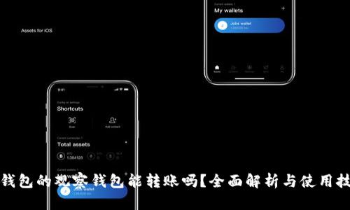 TP钱包的观察钱包能转账吗？全面解析与使用技巧