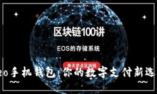 Leo手机钱包：你的数字支付新选择