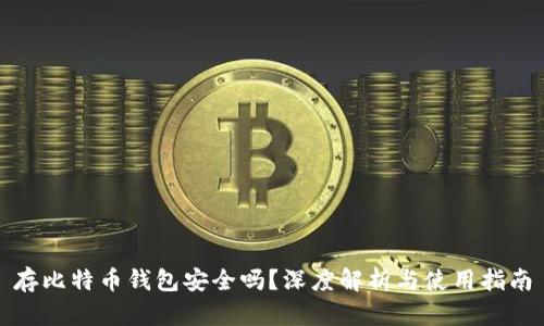 存比特币钱包安全吗？深度解析与使用指南