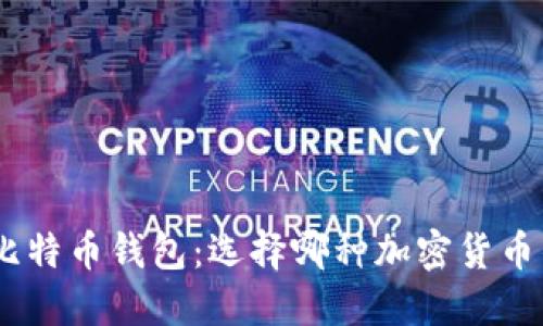 MetaMask与比特币钱包：选择哪种加密货币钱包更适合您？