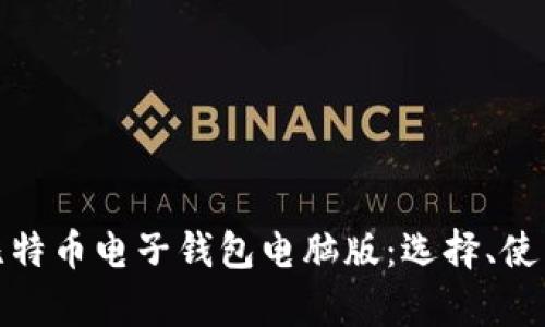 全面解析比特币电子钱包电脑版：选择、使用与安全性