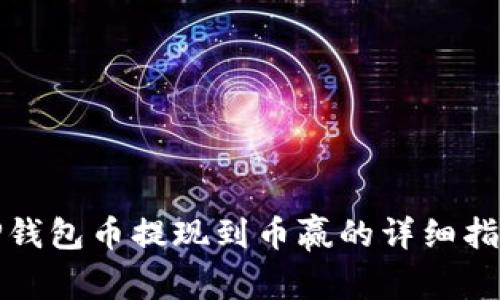 TP钱包币提现到币赢的详细指南