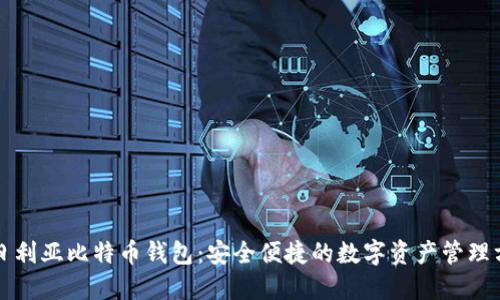 尼日利亚比特币钱包：安全便捷的数字资产管理方案