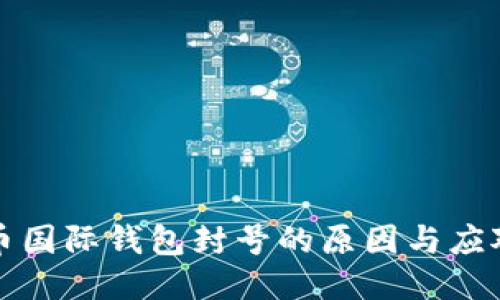 比特币国际钱包封号的原因与应对策略