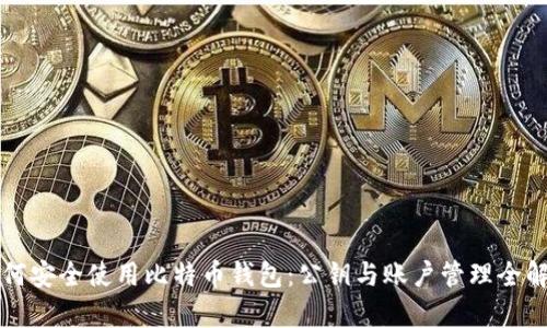 如何安全使用比特币钱包：公钥与账户管理全解析