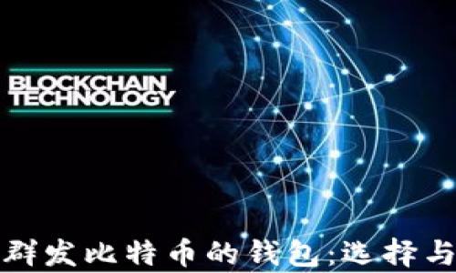 
探讨能够群发比特币的钱包：选择与功能解析