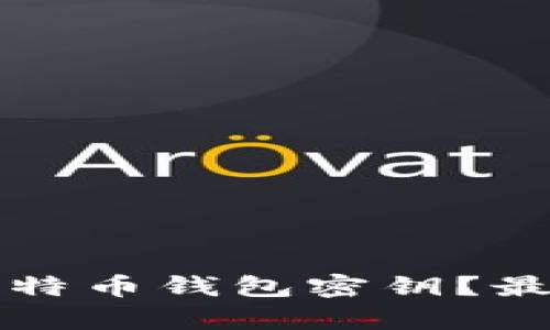 如何安全地保存比特币钱包密钥？最佳实践与方法解析