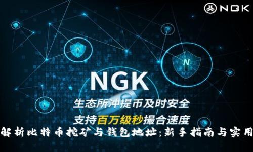 全面解析比特币挖矿与钱包地址：新手指南与实用技巧