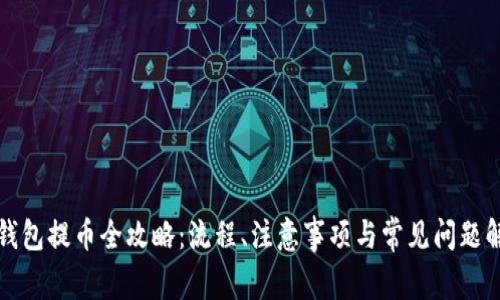 TP钱包提币全攻略：流程、注意事项与常见问题解析