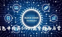 如何在TP钱包中购买BNB：完