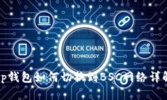 tp钱包如何切换到BSC网络详