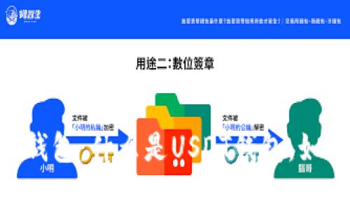 全面解析USDT钱包：什么是USDT钱包，如何选择和使用？