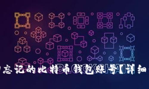 : 如何找回忘记的比特币钱包账号？详细步骤与技巧