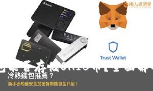 Token.im钱包能否存储SHIB币？全面解析与使用指南