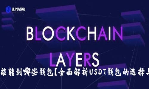 USDT能转到哪些钱包？全面解析USDT钱包的选择与特点