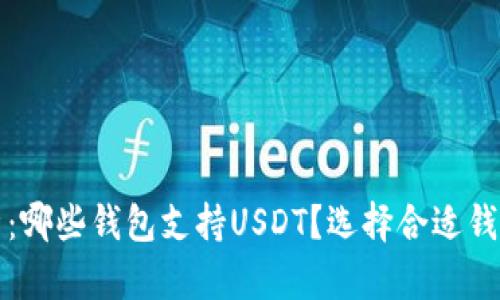 全面解析：哪些钱包支持USDT？选择合适钱包的指南