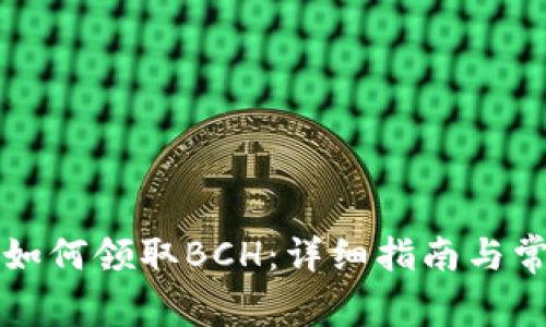 比特币钱包如何领取BCH：详细指南与常见问题解答