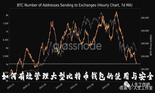 如何有效管理大型比特币钱包的使用与安全
