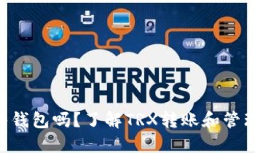 TRX可以转入钱包吗？了解TRX转账和管理的全面指南