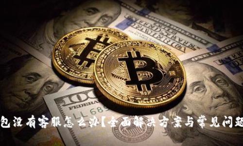 TP钱包没有客服怎么办？全面解决方案与常见问题解析
