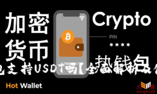 极客钱包支持USDT吗？全面解析及使用指南