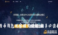 比特币钱包观察模式详解：新手必读指南