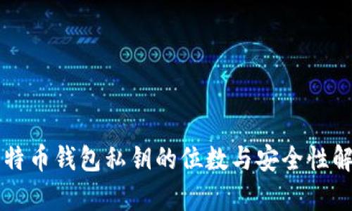 比特币钱包私钥的位数与安全性解析