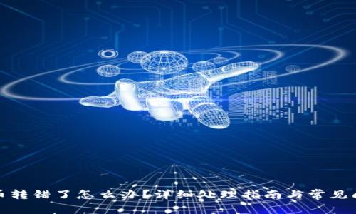 TP钱包币转错了怎么办？详细处理指南与常见问题解答