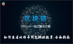 如何查看比特币钱包地址数量：全面指南