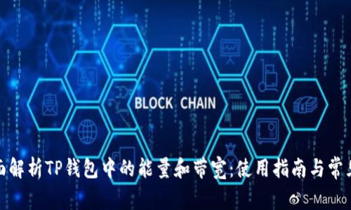 : 全面解析TP钱包中的能量和带宽：使用指南与常见问题