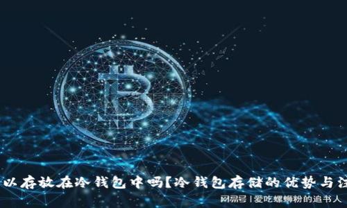 USDT可以存放在冷钱包中吗？冷钱包存储的优势与注意事项