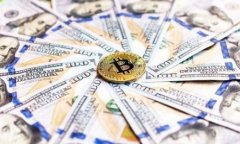 如何高效观察TP钱包中的资产和交易信息