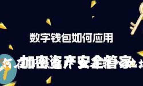 如何在TP钱包中查看转入地址？