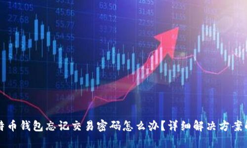比特币钱包忘记交易密码怎么办？详细解决方案解析